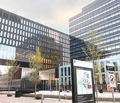 博牛配资 在荷兰学习生物科学是什么体验