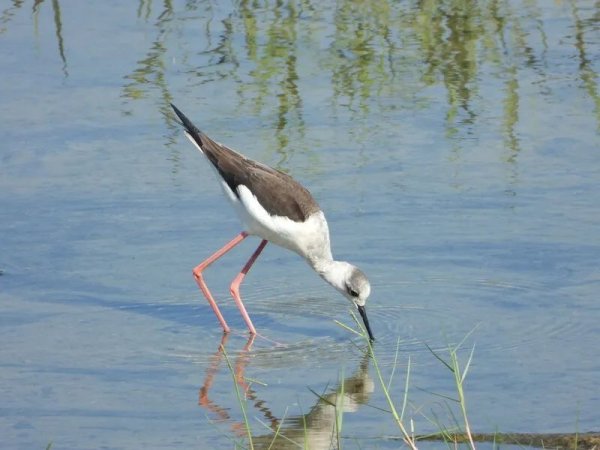 沪深策略联盟 生态富是一种高境界的富