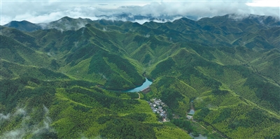 配查网 “未来乡村”在生长（家乡的山水能生金）
