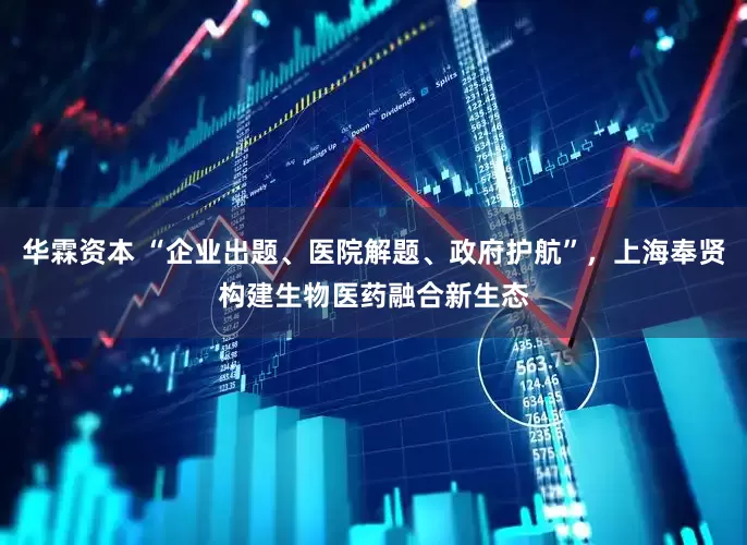 华霖资本 “企业出题、医院解题、政府护航”，上海奉贤构建生物医药融合新生态