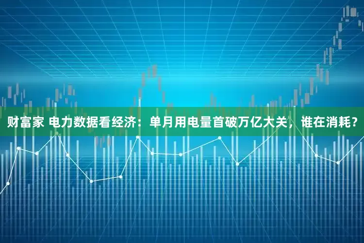 财富家 电力数据看经济：单月用电量首破万亿大关，谁在消耗？